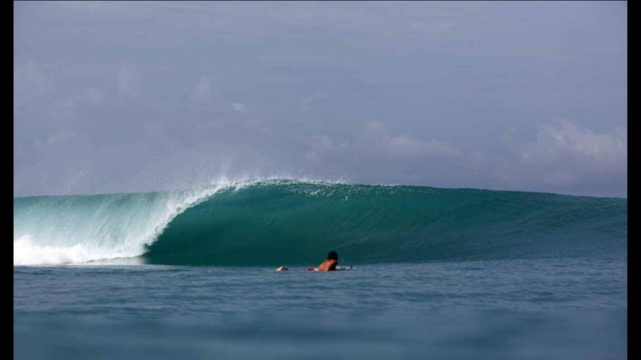 Surf 