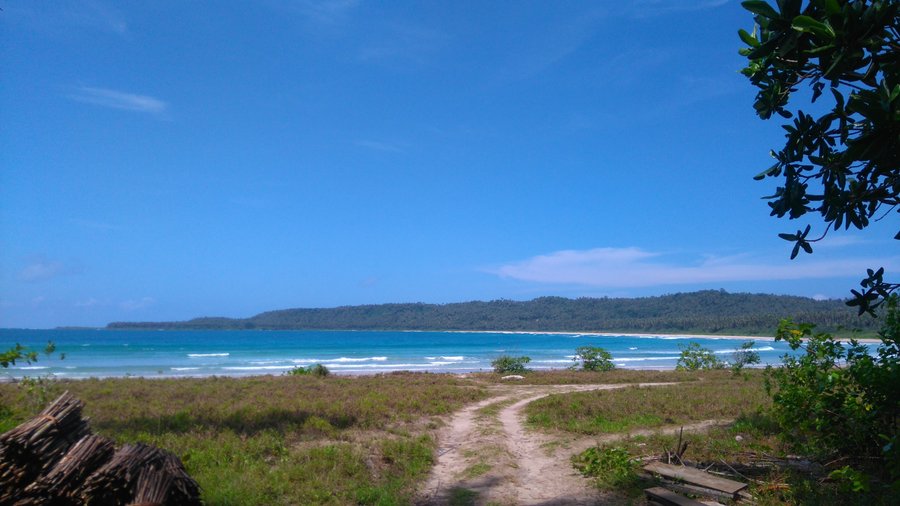 Beach 