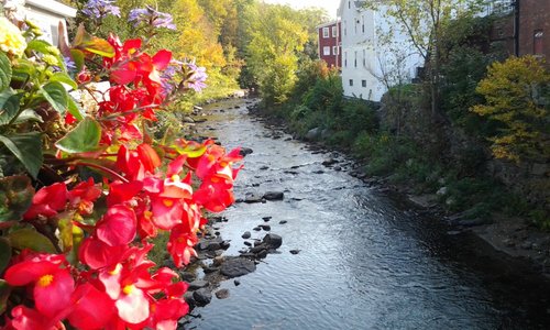 The red mill is in the background along the stream in this photo.