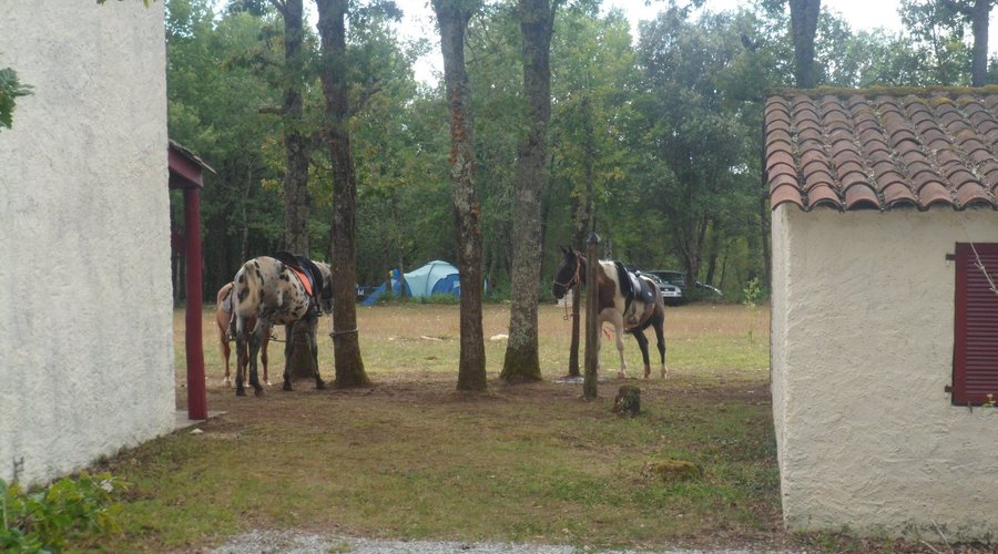 notre tente au fond, et les chevaux juste en face 