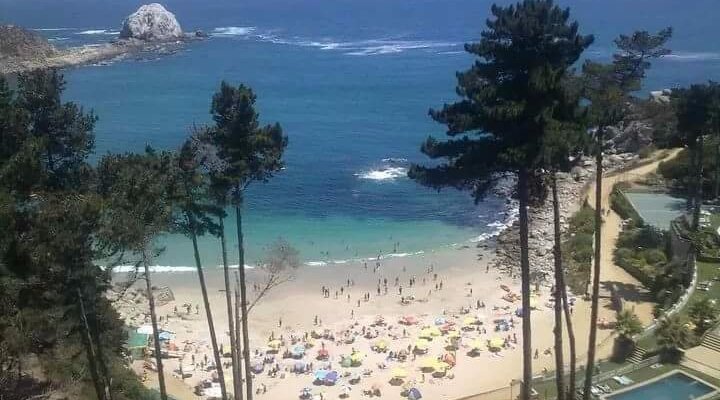 Imagen Algarrobo