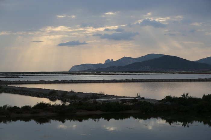 Imagen 2 de Parque Natural de Ses Salines