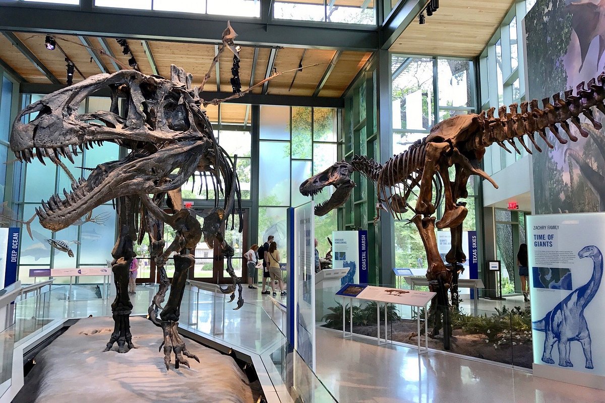 Witte Museum (San Antonio) - 2022 What to Know Before You Go (with Photos)  - Tripadvisor