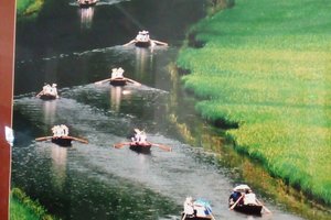 Phòng & Phòng Suite