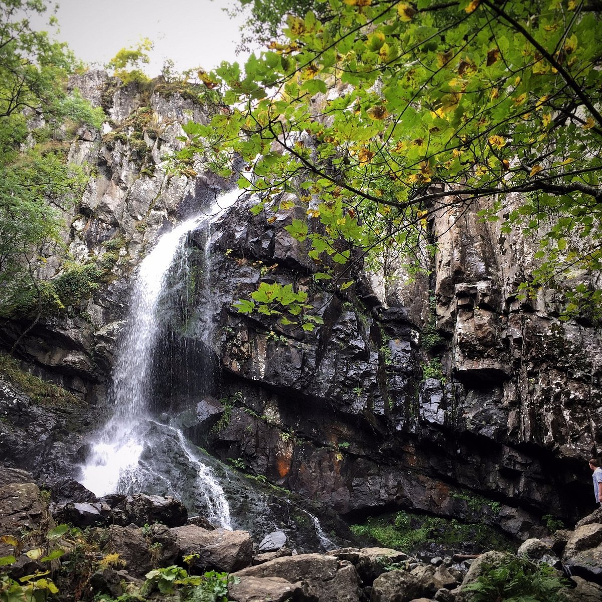 Boyana Waterfall, София: лучшие советы перед посещением - Tripadvisor