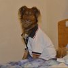 kippi2