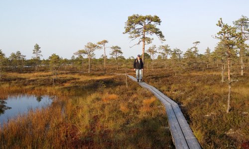 Pitkospuuosuutta on reitillä vajaat 2 km. 