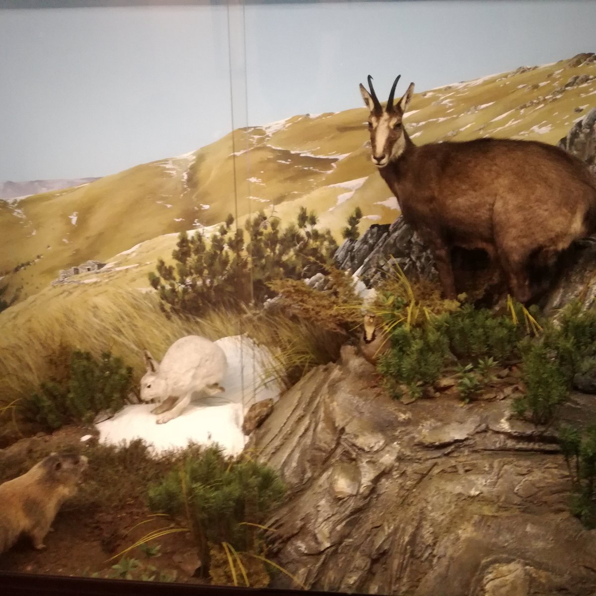 Museo Etnografico E Naturalistico Val Sanagra - All You Need to Know ...