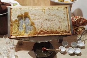 여행자 사진