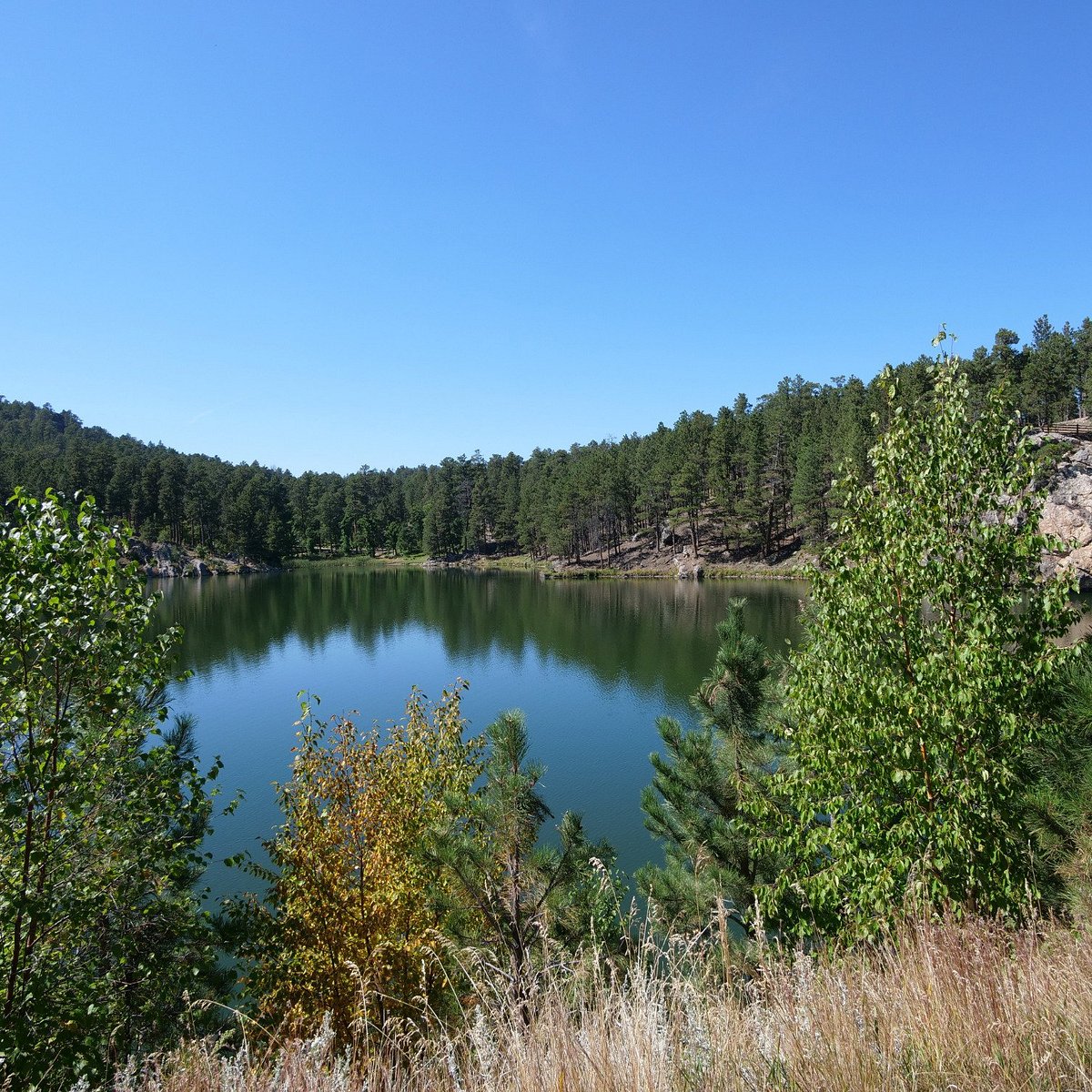 Terror at Deadwood Lake –