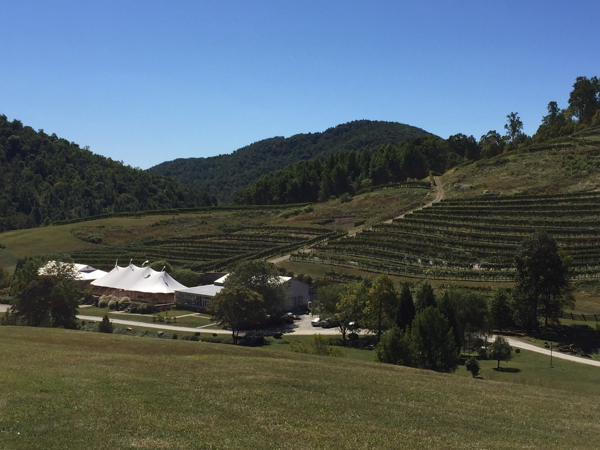 Delfosse winery clearance