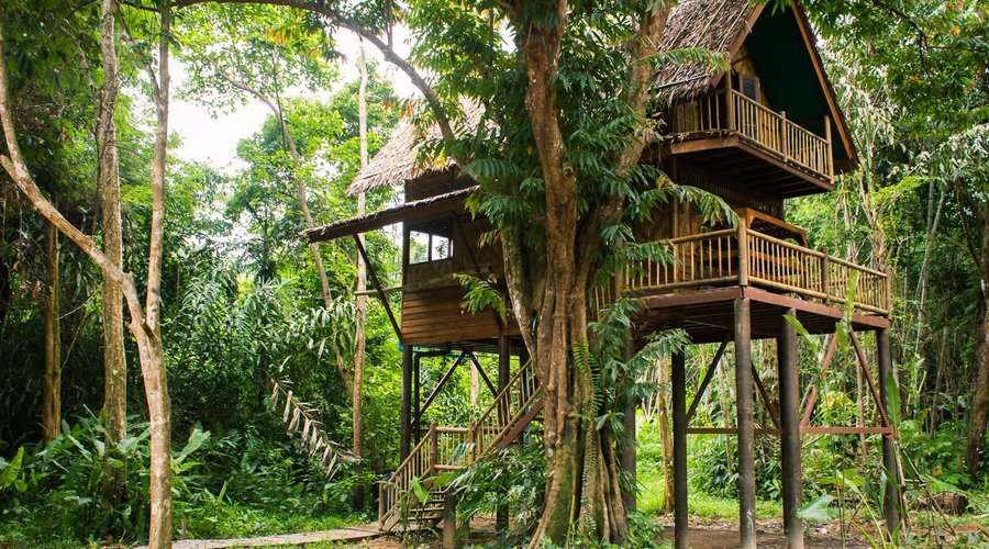 Two-storey Treehouse - Jungle View