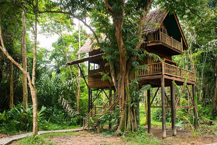 tilfredshed mekanisme Minimer OUR JUNGLE CAMP - ECO RESORT $34 ($̶3̶9̶) - Updated 2023 Prices & Hotel  Reviews - Khao Sok National Park, Thailand