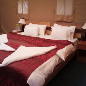 Comfortable Beds