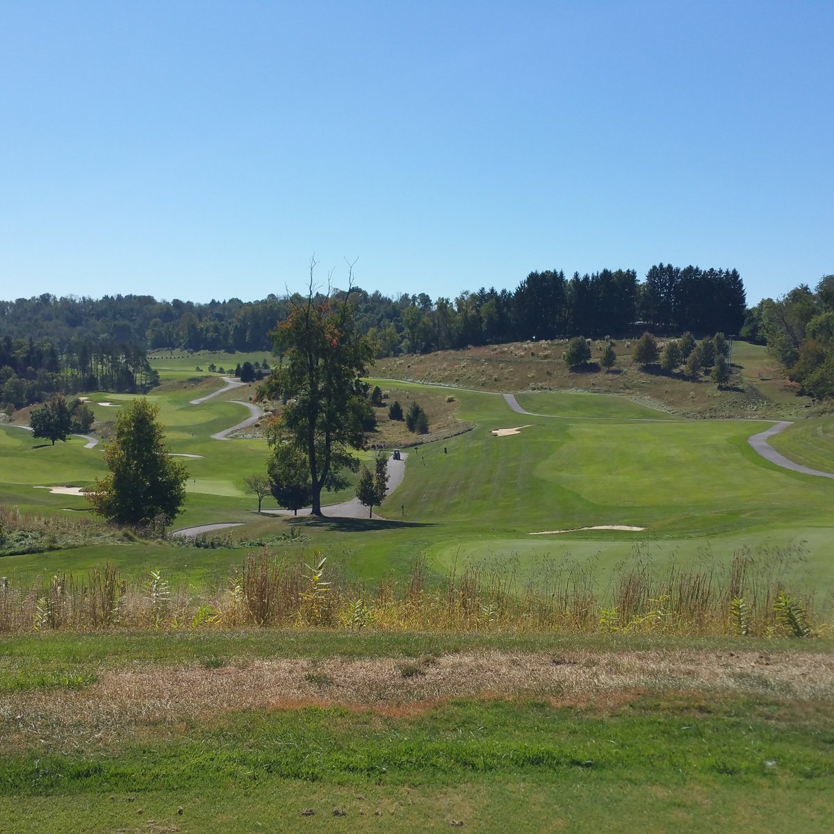 Speidel Golf Club (Wheeling) All You Need to Know BEFORE You Go