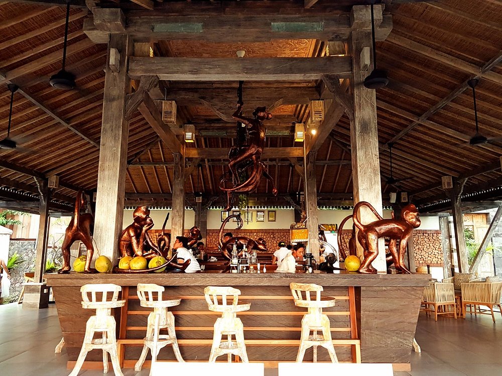 The Monkey Bar