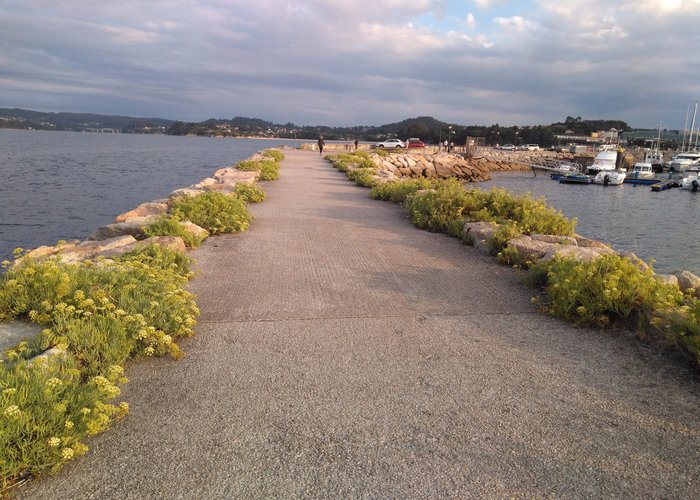 Zona paseo en el puerto deportivo