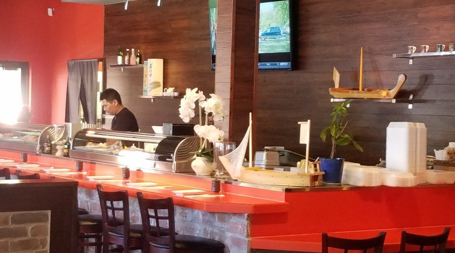Sushi Kuma