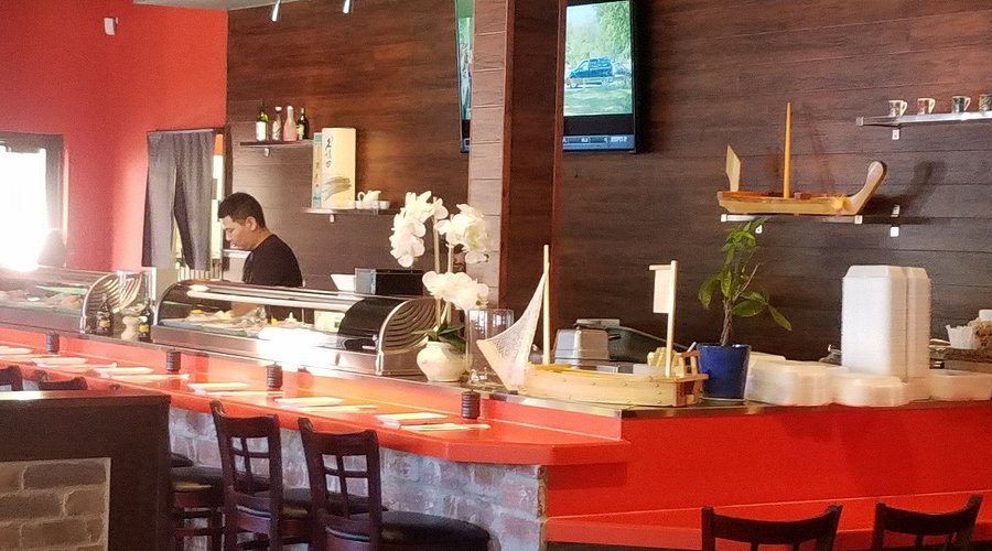 Sushi Kuma