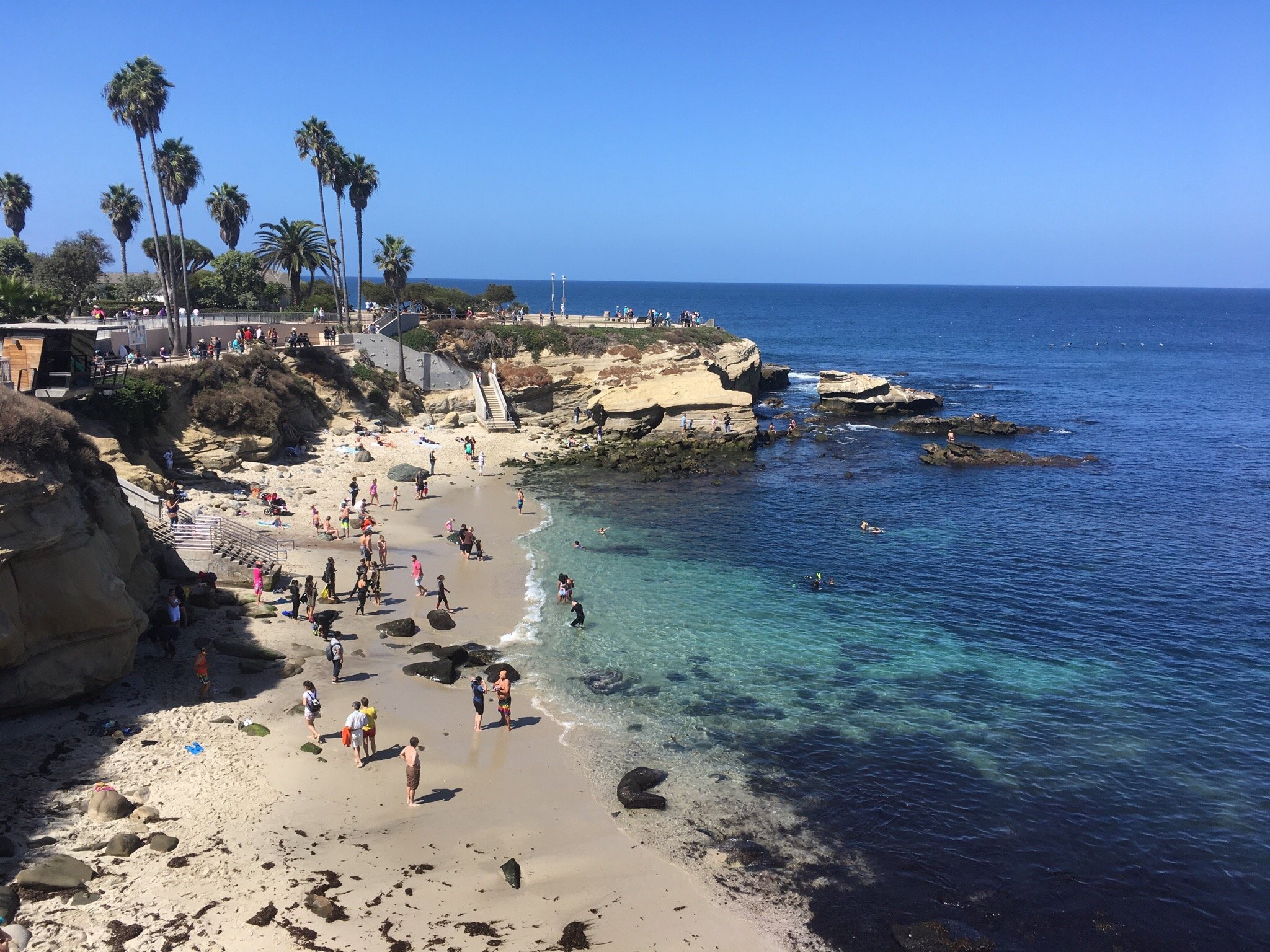 Along the coast authentic of La Jolla, CA