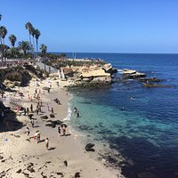 CHILDREN'S POOL (La Jolla) - 2022 What to Know BEFORE You Go