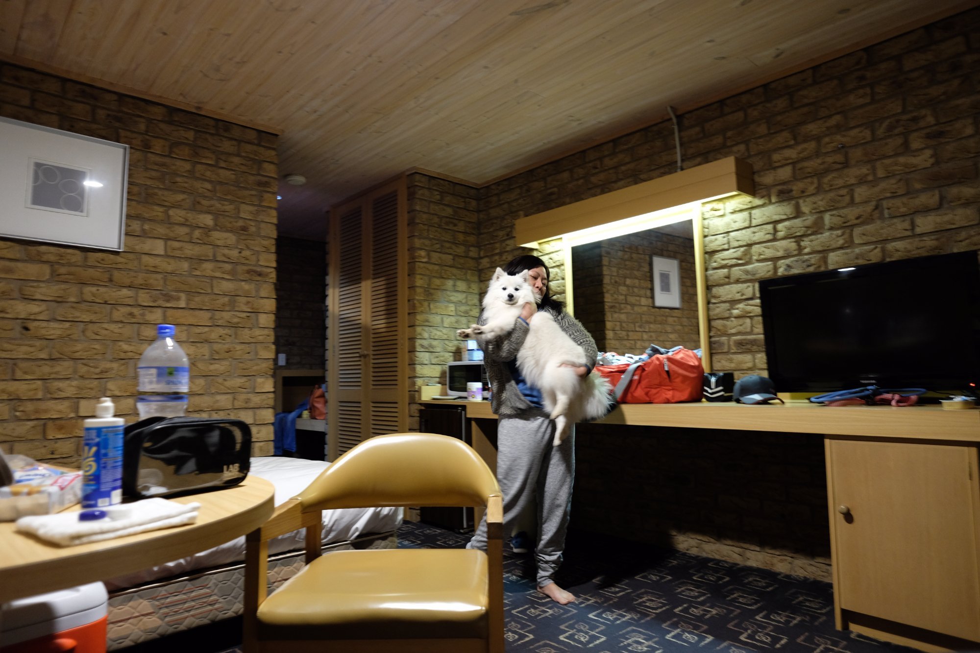 Motel Flinders by null