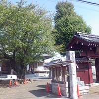 桜の花が美しい寺です