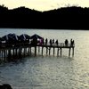 NatureTrekkersPJ