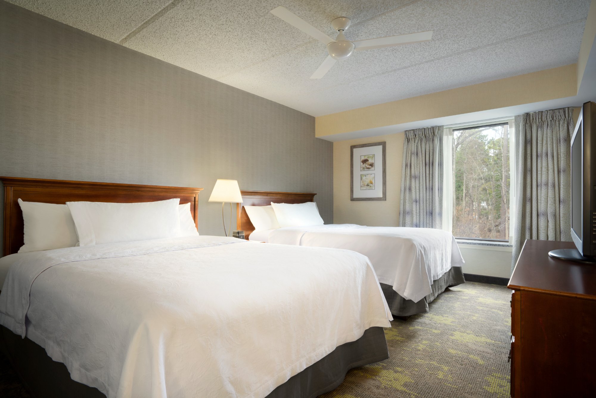 Hotel photo 38 of Homewood Suites by Hilton Williamsburg.