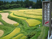 21年 うへ山の棚田 行く前に 見どころをチェック トリップアドバイザー 21年 うへ山の棚田 行く前に 見どころをチェック トリップアドバイザー