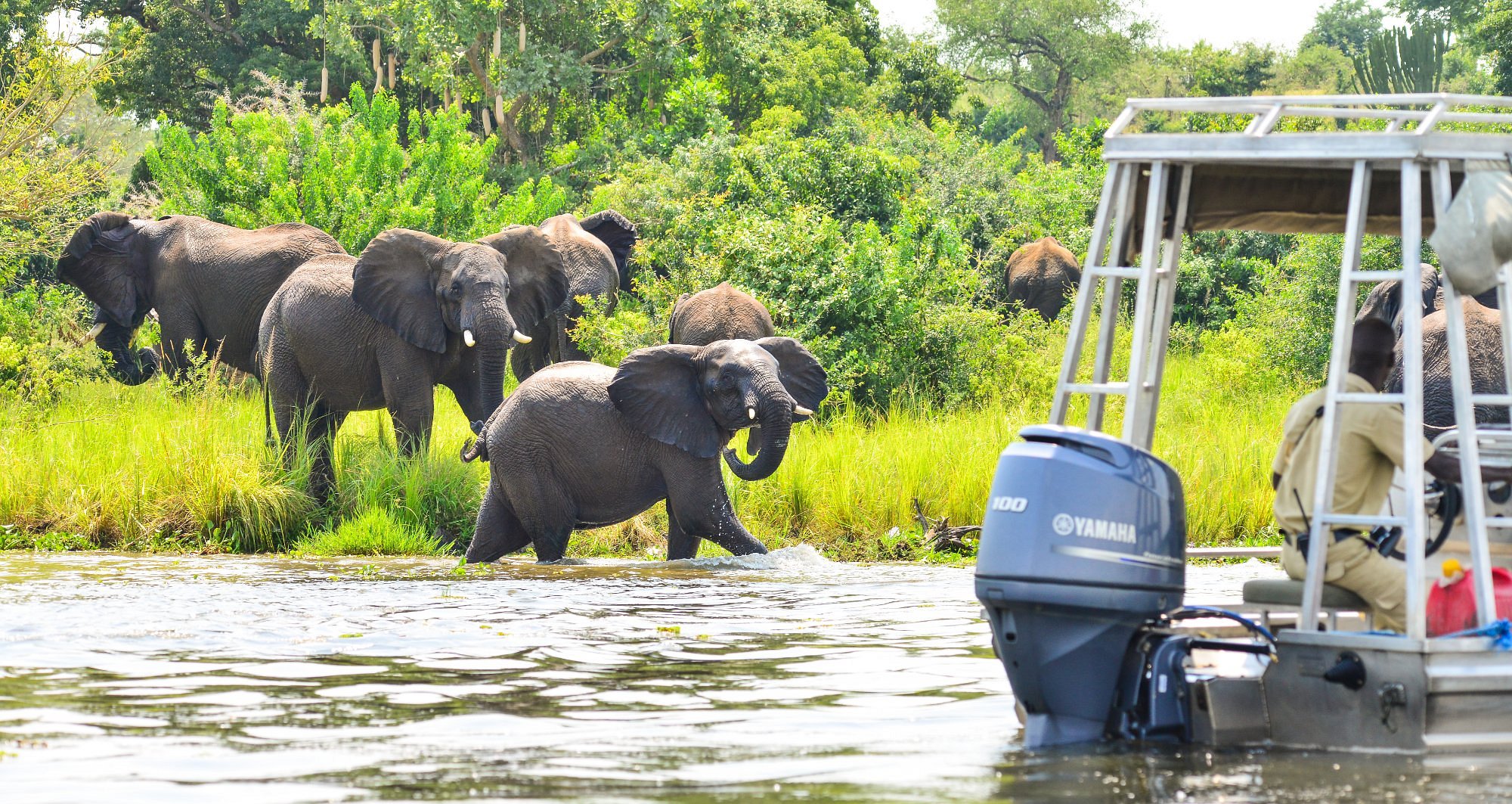 wild frontiers uganda safaris entebbe