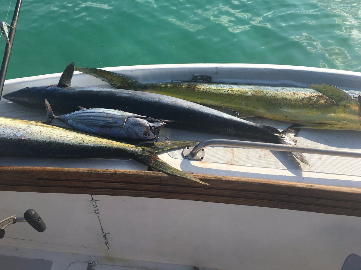 Mauritius amateur fishing, My first pomfret on jig