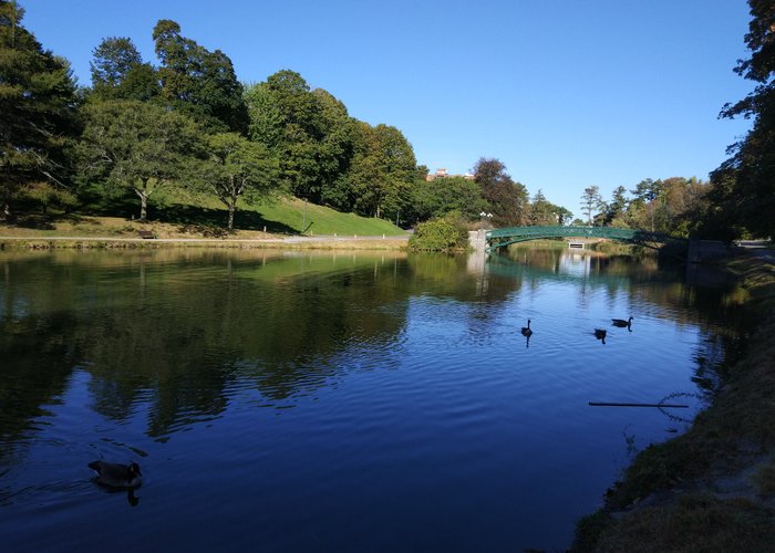 Washington Park
