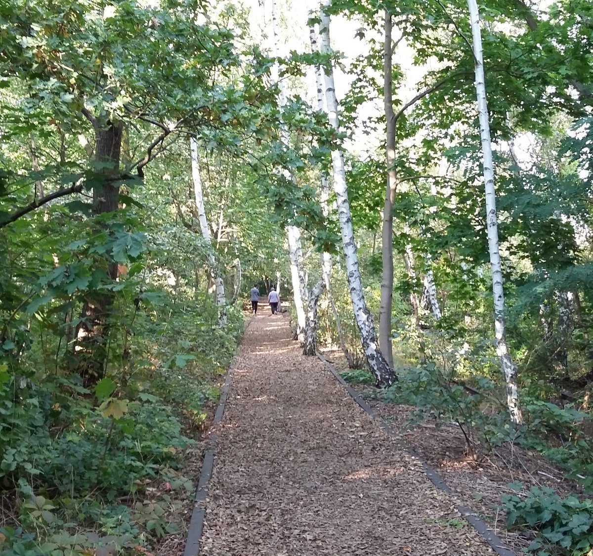 Naturpark Südgelände, Берлин лучшие советы перед посещением Tripadvisor