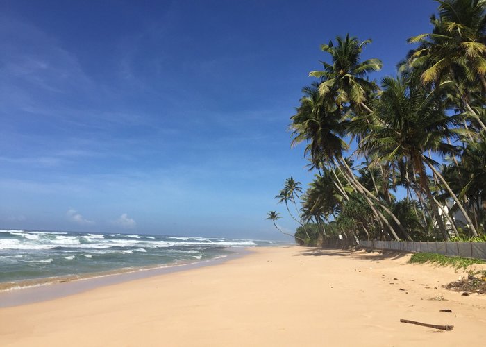 Best Places to Visit in Habaraduwa, Sri Lanka (2023) - Tripadvisor