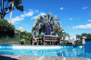 Champers Motor Lodge in Gisborne, image may contain: Villa, Hotel, Resort, Plant