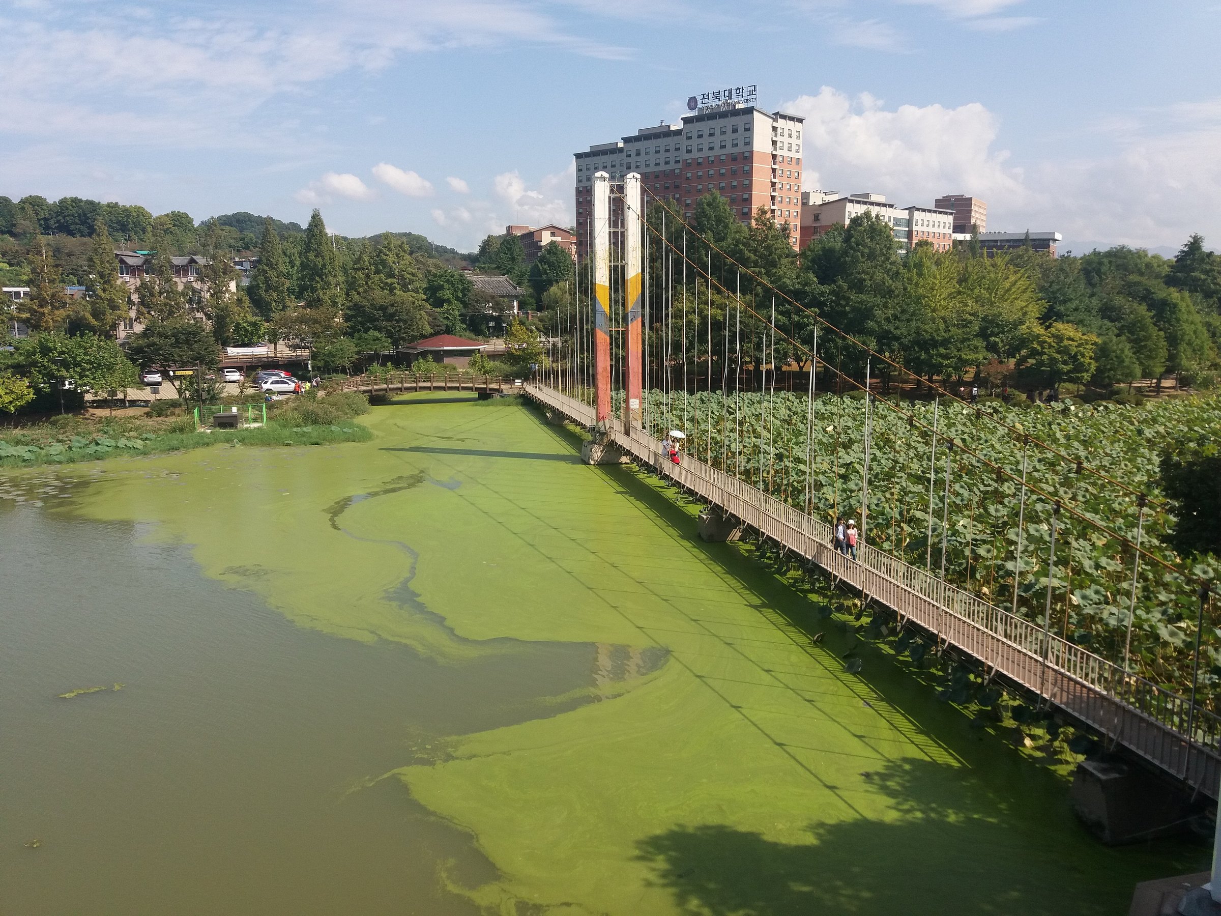 Les 10 Meilleurs Hôtels Avec Blanchisserie à Jeonju 2024 Avec Prix Tripadvisor 