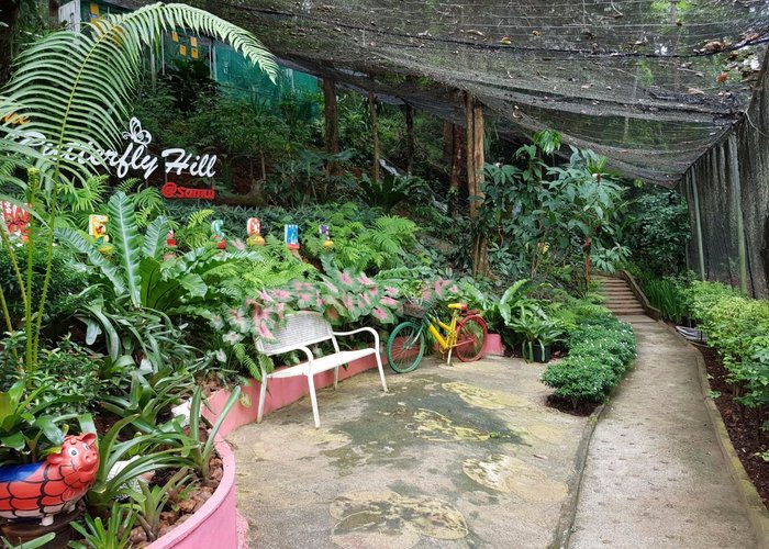 Butterfly farm