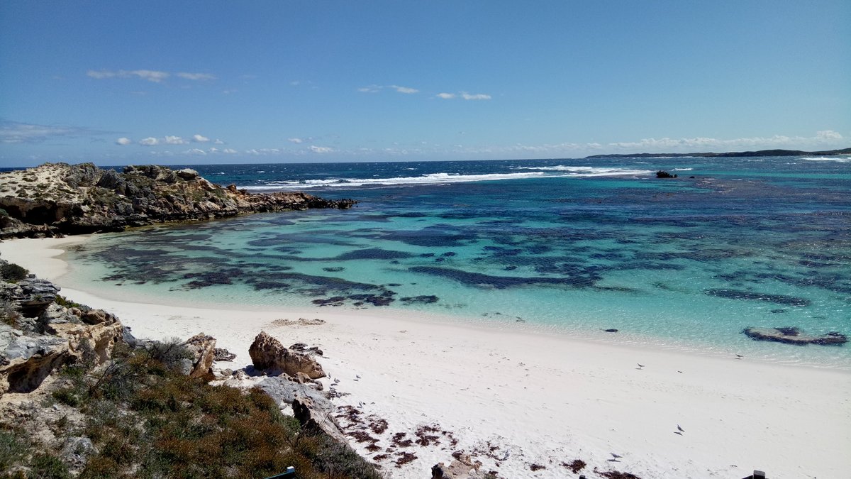 Salmon Bay (Rottnest Island) - All You Need to Know BEFORE You Go