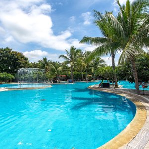 The Pool at the Leonia Holistic Destination