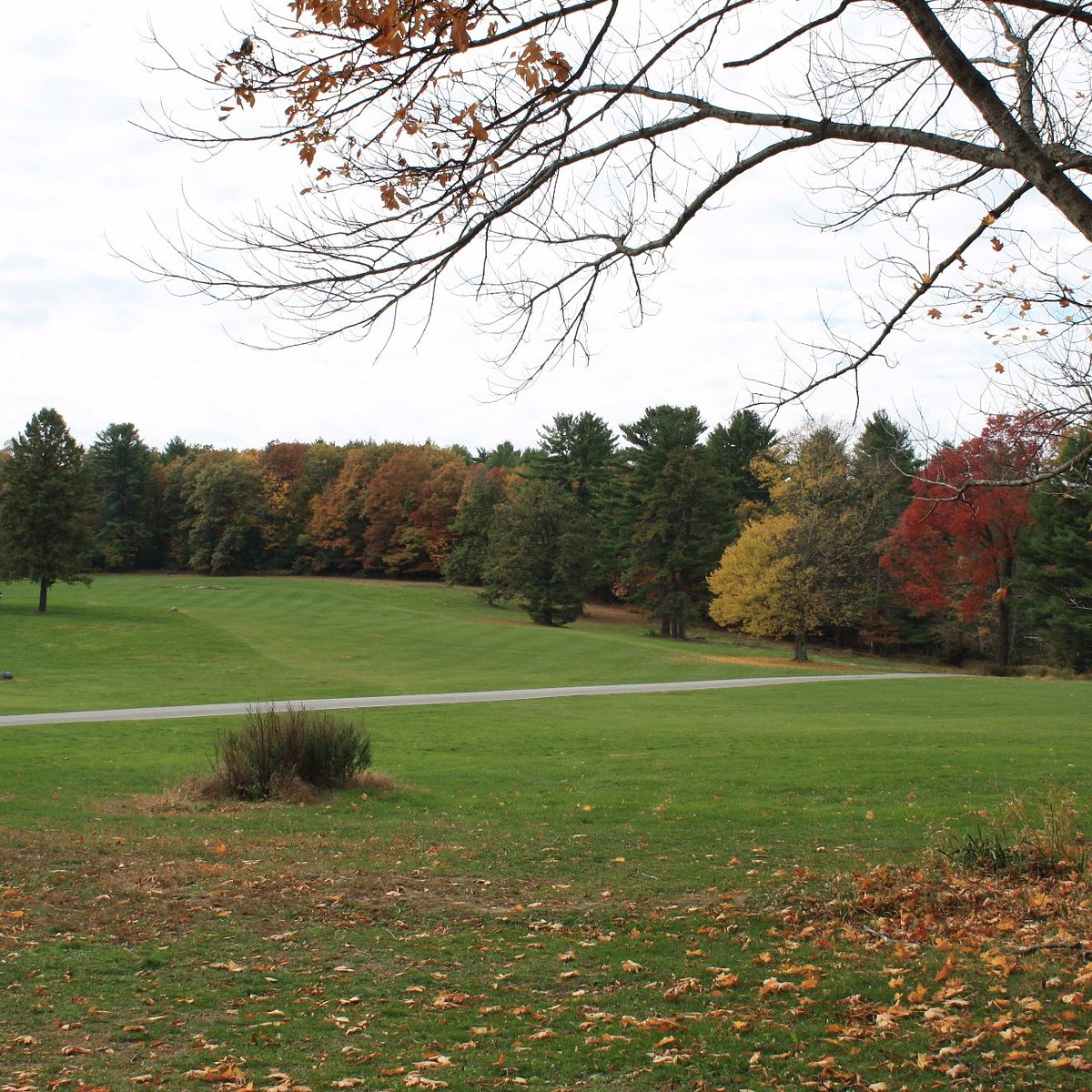 2023年 Cliff Park Golf 行く前に！見どころをチェック トリップアドバイザー