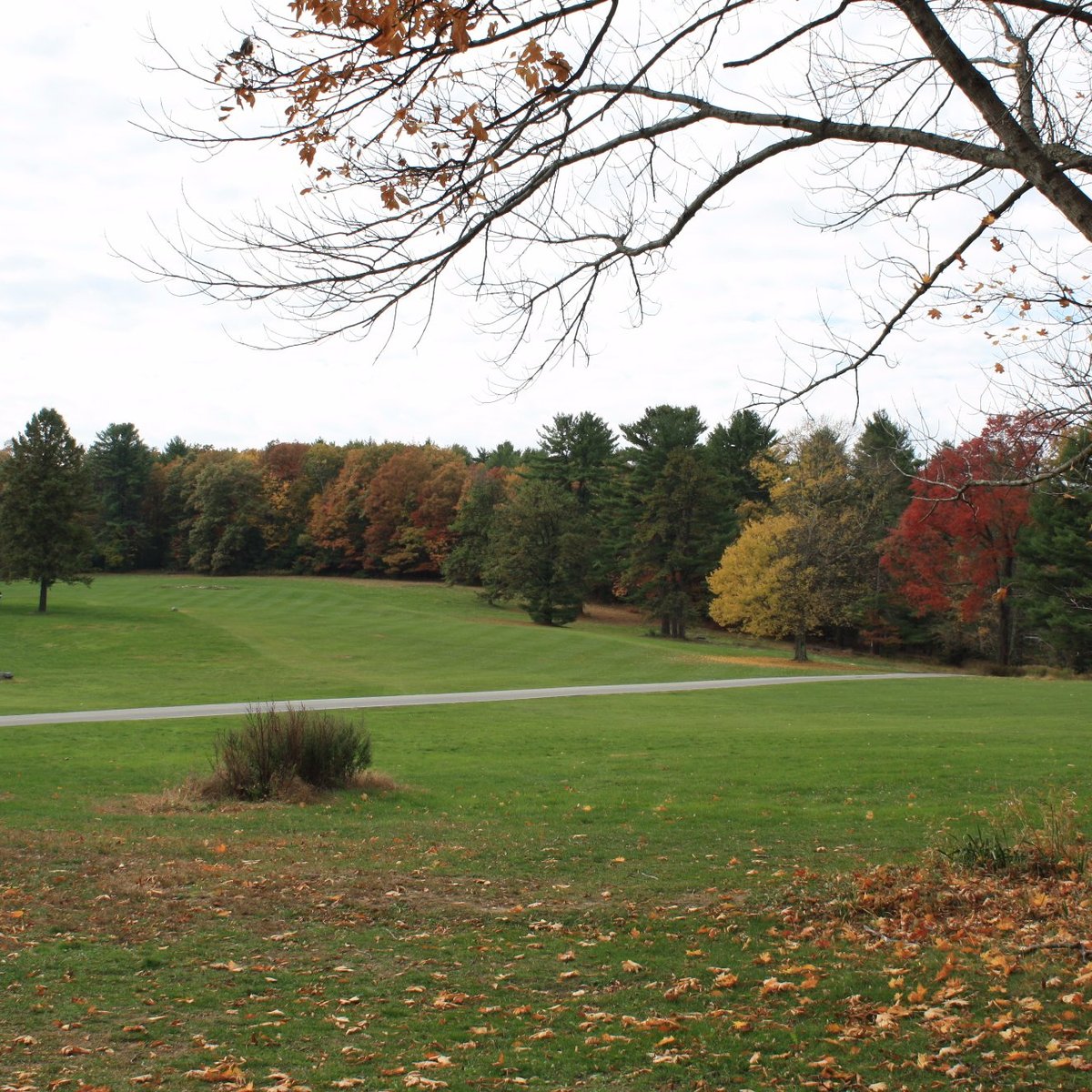 2023年 Cliff Park Golf 行く前に！見どころをチェック トリップアドバイザー