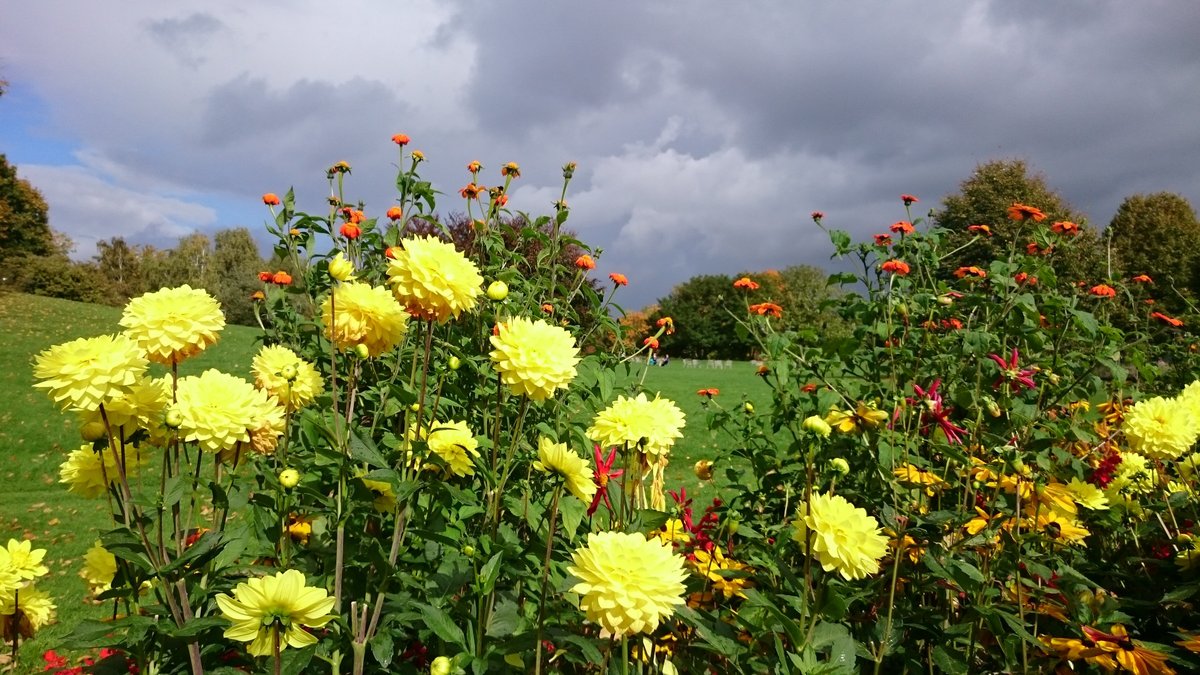 Britzer Garten (2025) All You Need to Know BEFORE You Go (with Reviews)