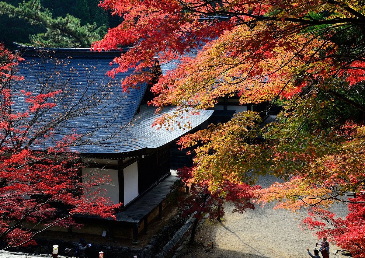 Jingoji Temple, Kyoto