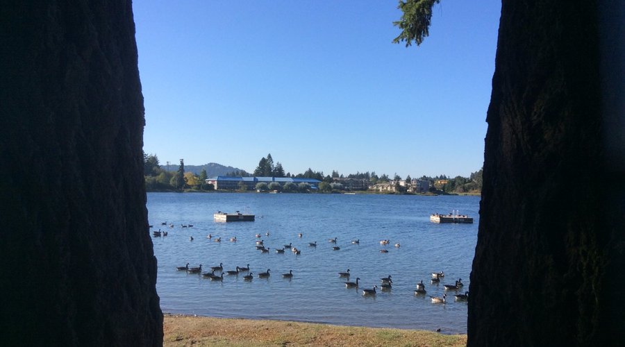 View across Long Lake