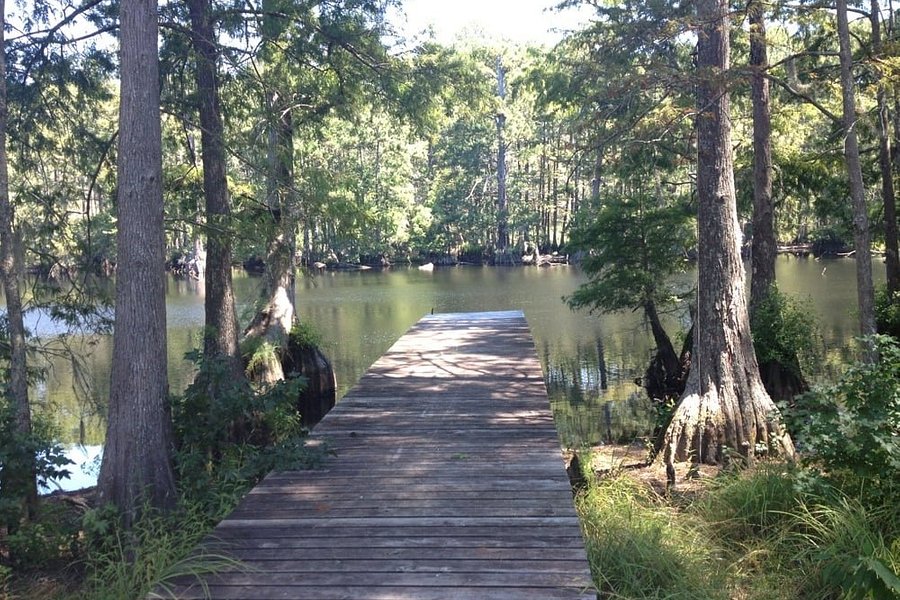 Lake Houston Wilderness Park image