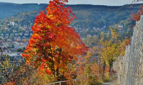Weg zum Jelzig mit Herbstfärbung