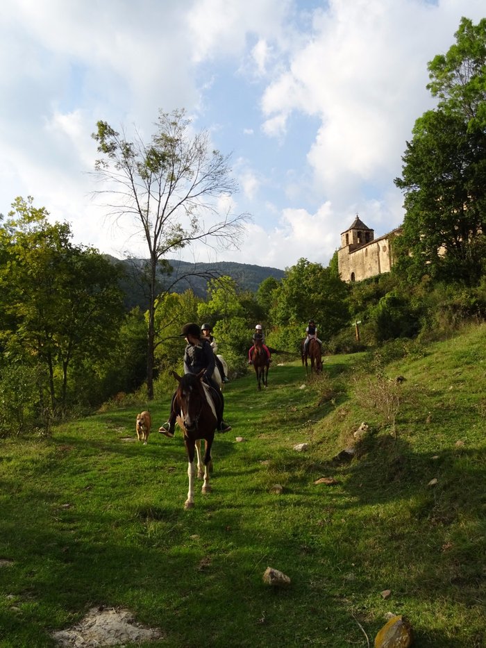 Imagen 8 de TRAC Terápies I Rutes Amb Cavall