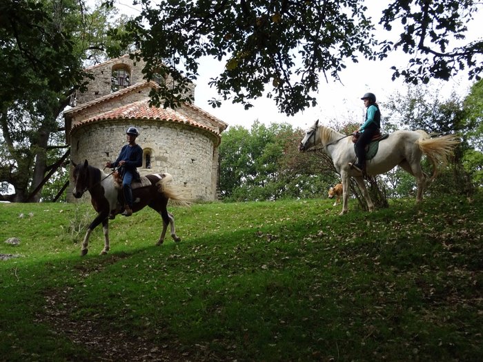 Imagen 7 de TRAC Terápies I Rutes Amb Cavall