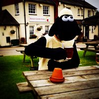 Even the local sheep get thirsty.....